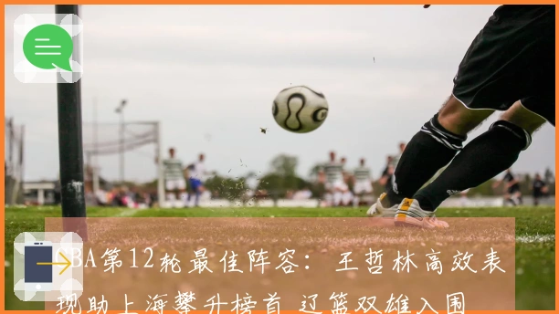 CBA第12轮最佳阵容：王哲林高效表现助上海攀升榜首 辽篮双雄入围